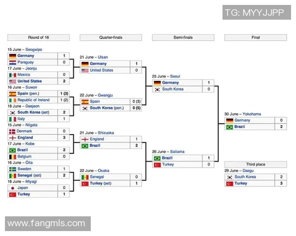全球足球明星与顶级球队全面解析图表展示
