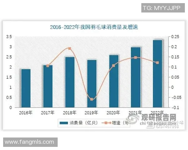 深圳羽毛球队个人能力深度对比分析与发展潜力探讨